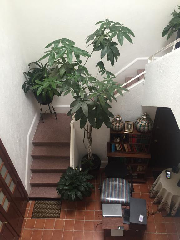Casa Maria Elena Condesa (Adults Only) Ξενοδοχείο Μεξικό Εξωτερικό φωτογραφία