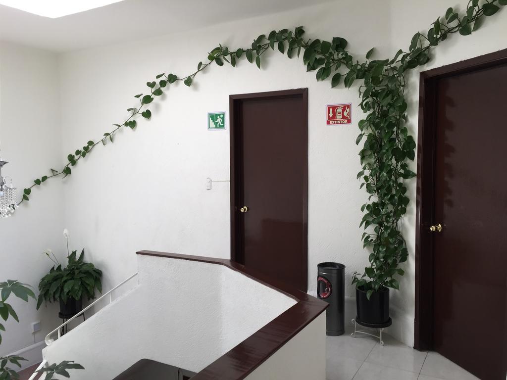 Casa Maria Elena Condesa (Adults Only) Ξενοδοχείο Μεξικό Εξωτερικό φωτογραφία