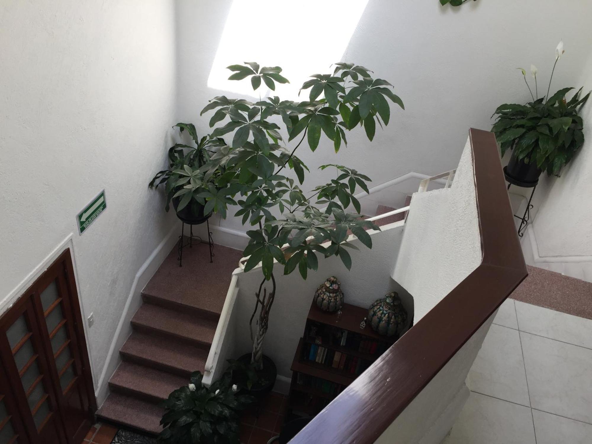 Casa Maria Elena Condesa (Adults Only) Ξενοδοχείο Μεξικό Εξωτερικό φωτογραφία